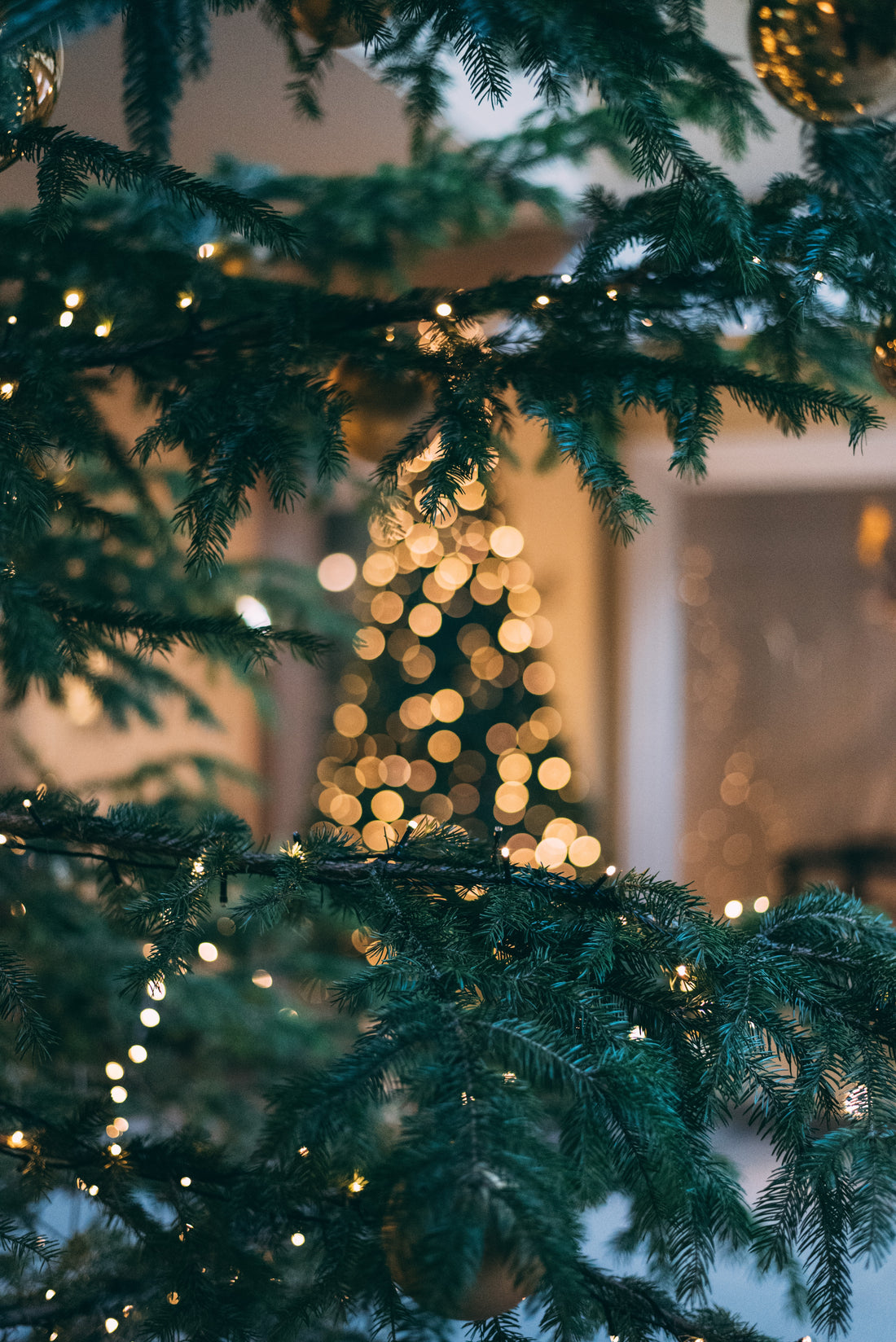 The Christmas Tree Rule