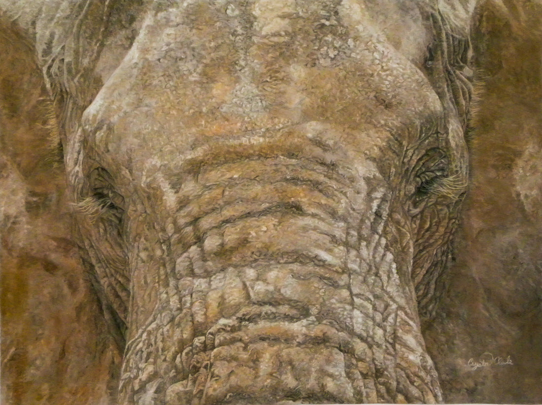Kenneth the Elephant - The Story behind the Artwork