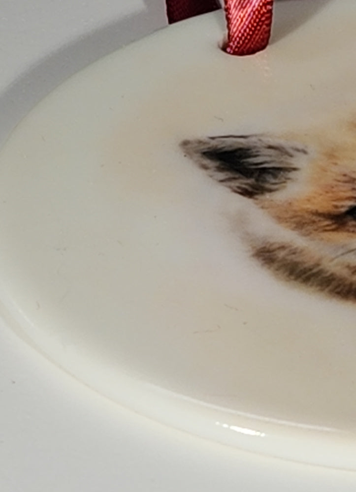 'Curiosity' Ceramic Ornament image 1