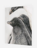 Greeting Card 'You're Not Alone' Penguins image 0