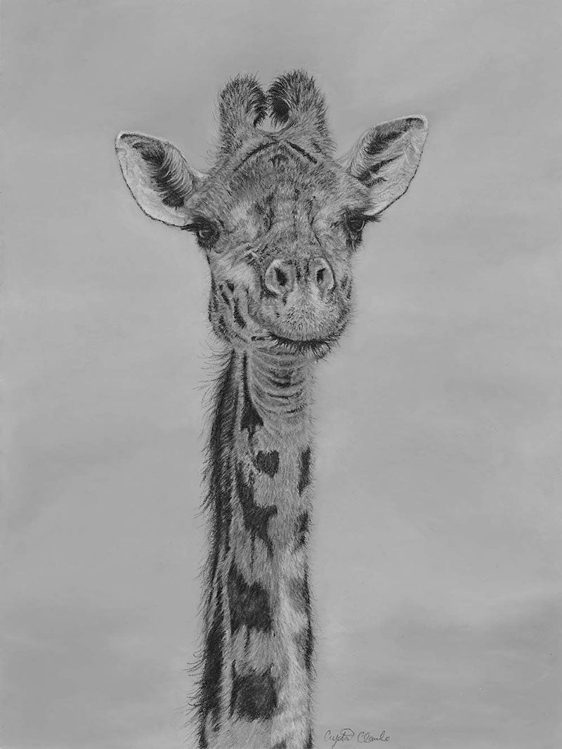 'Stretch and See' Original pastel giraffe artwork image 1