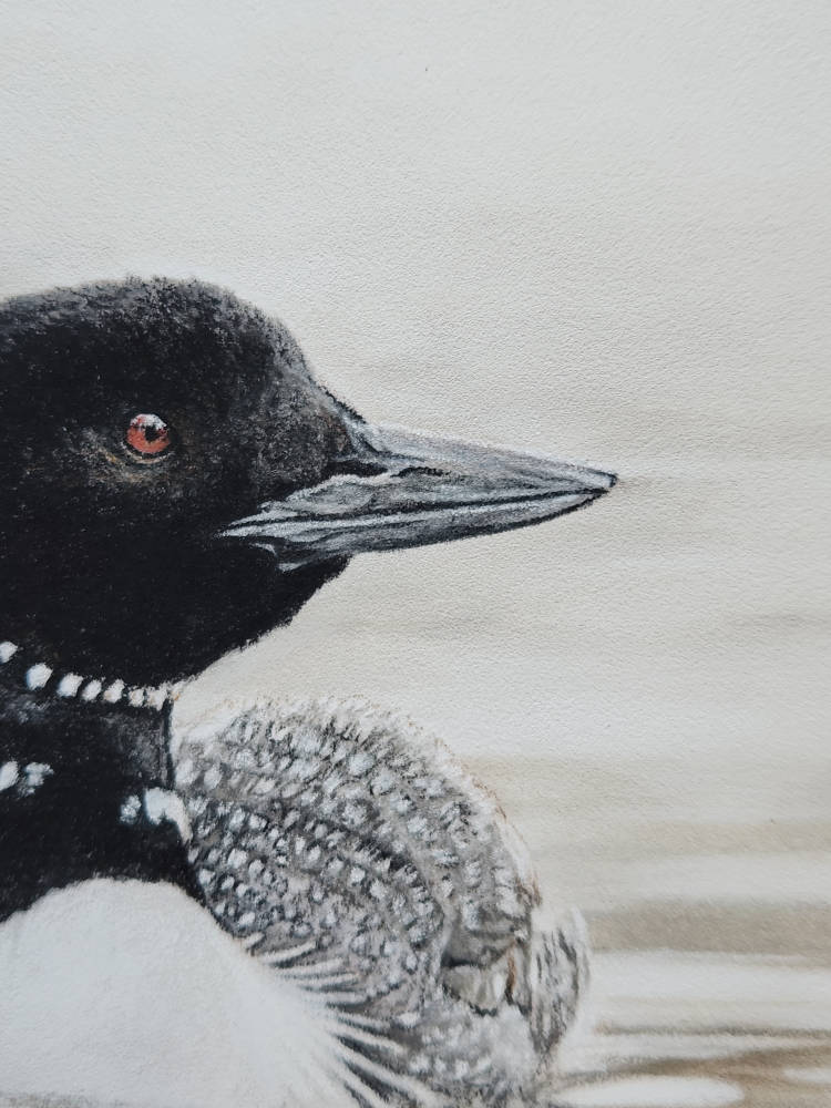 'Where the Stillness Begins' Original Loon pastel artwork image 4
