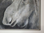 "Alces Alces" 16x14" Pastel on pastelmat image 3