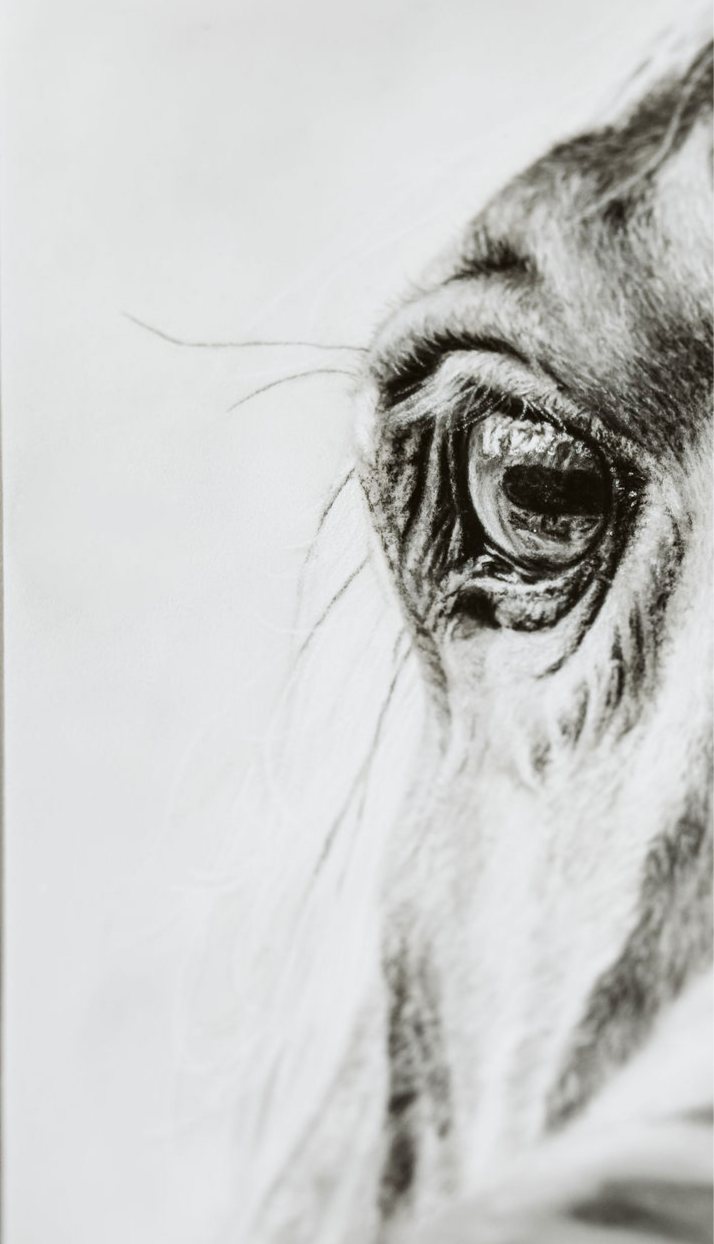 "A Glance from Eye to Eye'' 10x8" Framed Pastel Original image 5