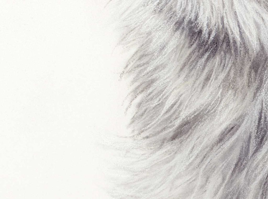 Polar Bear Fine Art Print 'Searching for Answers' image 2