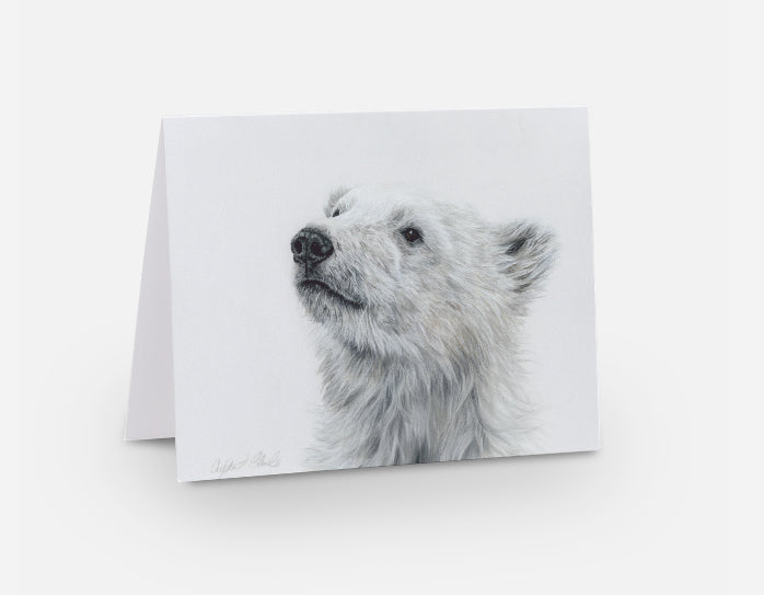 Greeting Card 'Searching for Answers' Polar Bear image 0