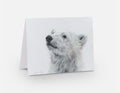 Greeting Card 'Searching for Answers' Polar Bear image 0