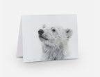 Greeting Card 'Searching for Answers' Polar Bear image 0