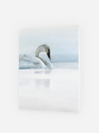 Greeting Card 'First Light' Swan image 1
