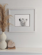 Polar Bear Fine Art Print 'Searching for Answers' image 1