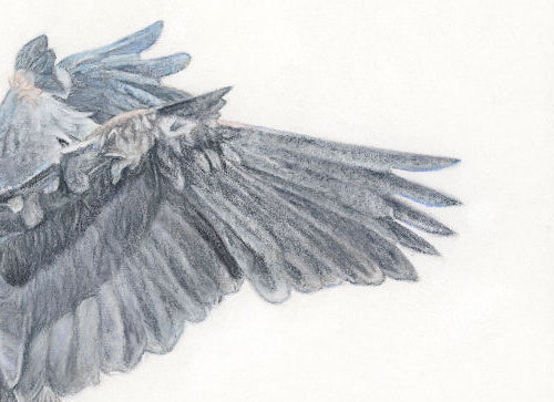 "The Art of Landing" 11 x 14" Pastel on pastelmat image 1