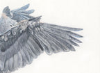 "The Art of Landing" 11 x 14" Pastel on pastelmat image 1