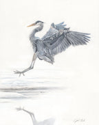 "The Art of Landing" 11 x 14" Pastel on pastelmat image 0