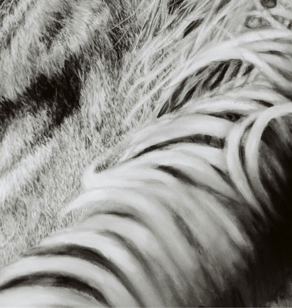 "A Glance from Eye to Eye'' 10x8" Framed Pastel Original image 1