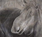 "Alces Alces" 16x14" Pastel on pastelmat image 0