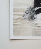 'Where the Stillness Begins' Original Loon pastel artwork image 6