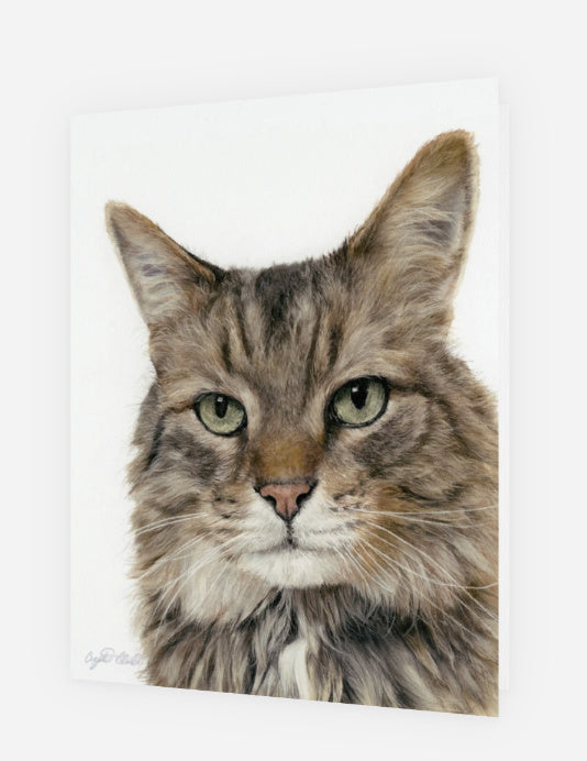 Greeting Card 'Majesty' the Award-Winning Cat image 0