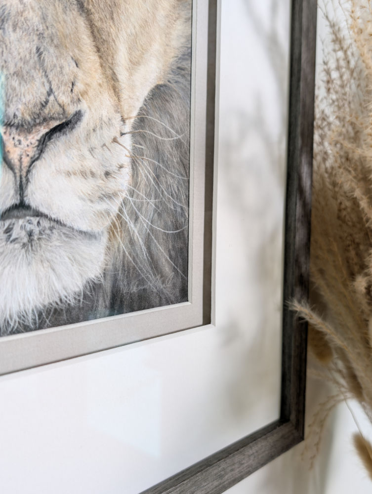 Close-up of a framed picture of a lion's face on a white wall.