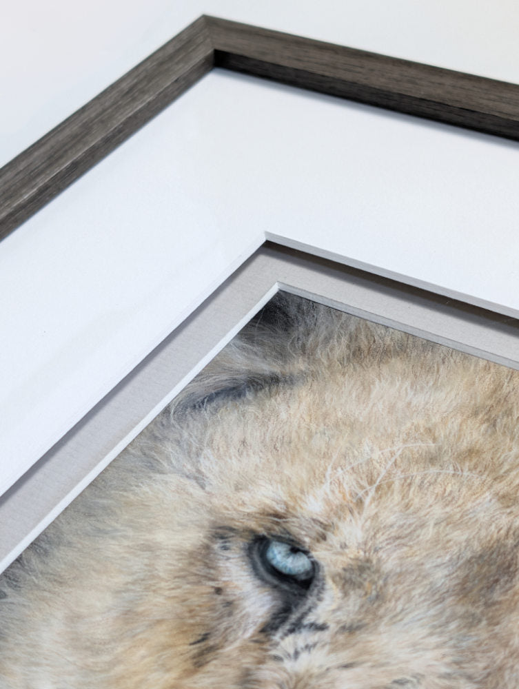 Framed artwork of a close-up of a lion's face with a white background