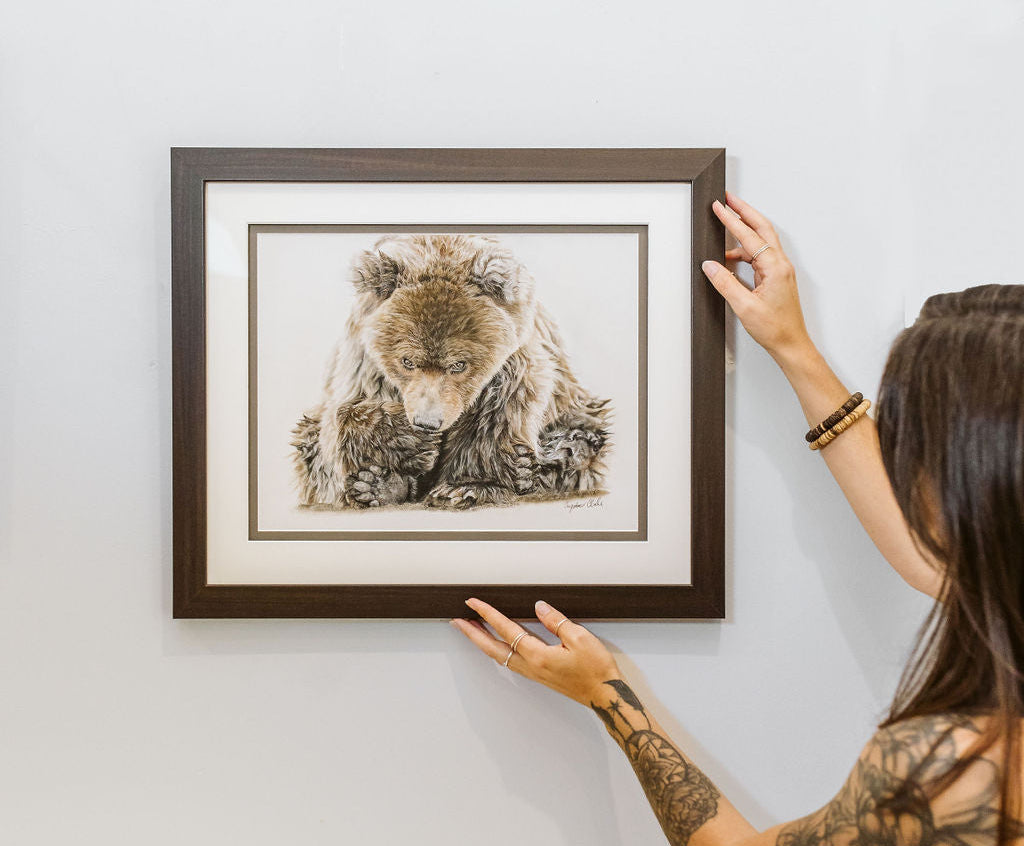 Artist hanging framed original bear artwork on wall