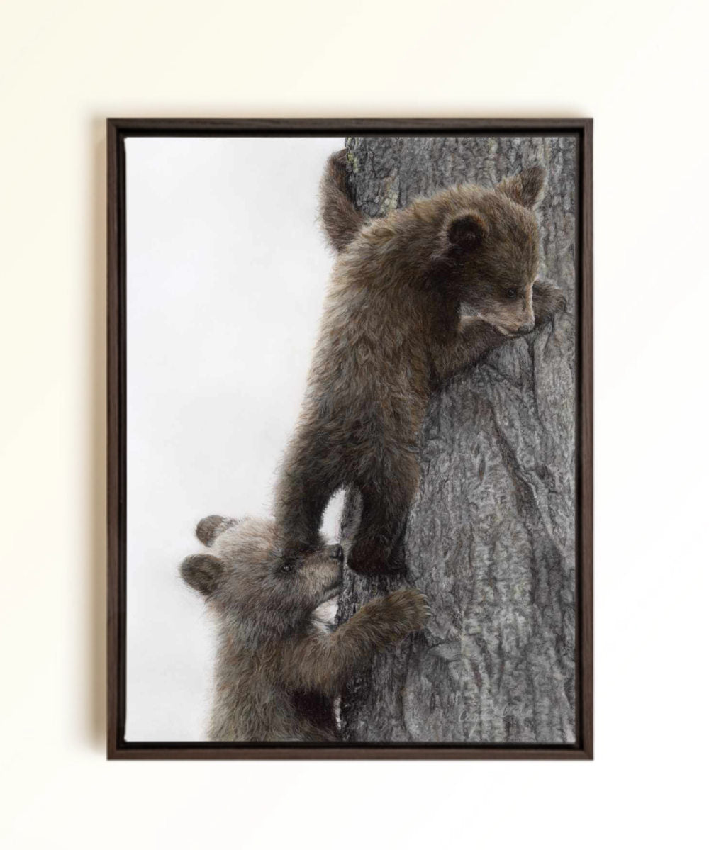 A framed canvas print of two brown bear cubs climbing a tree, displayed on a light beige wall. Drawn by Crystal Clarke