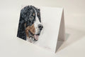 Greeting Card 'Sweet Smiles' Bernese Mountain Dog image 1