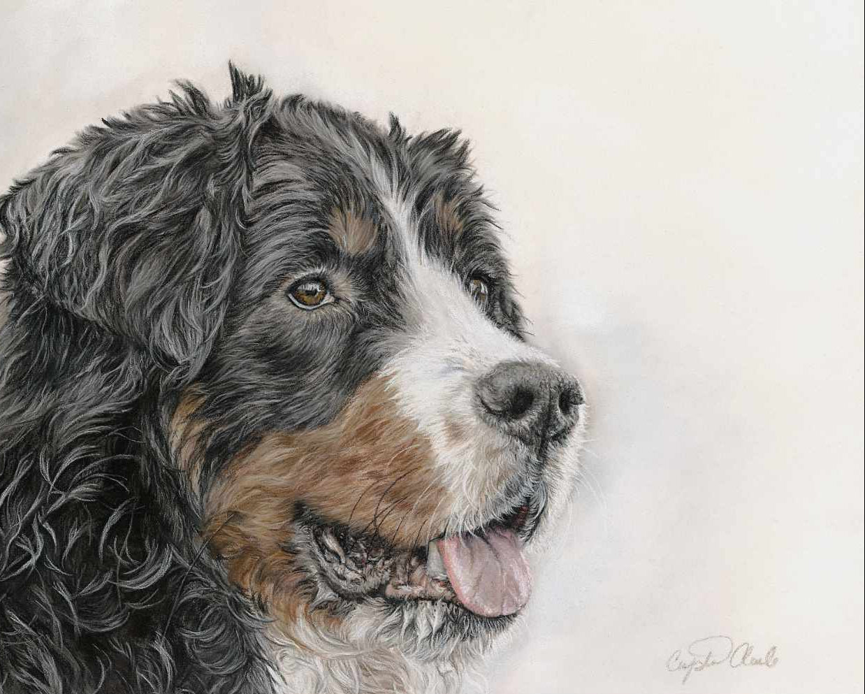 Detailed drawing of a bernese mountain dog's face with a soft background