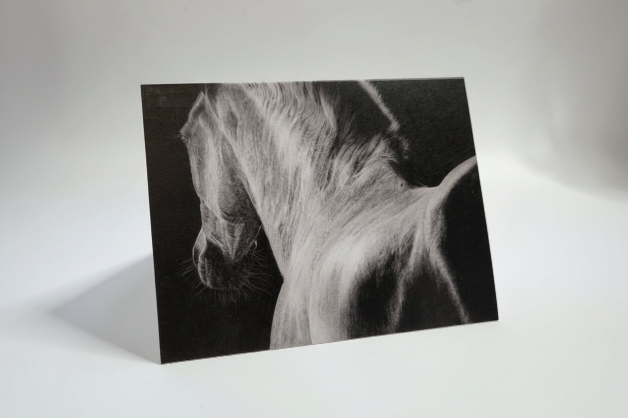 Greeting Card 'In the Rising Darkness' Horse image 0