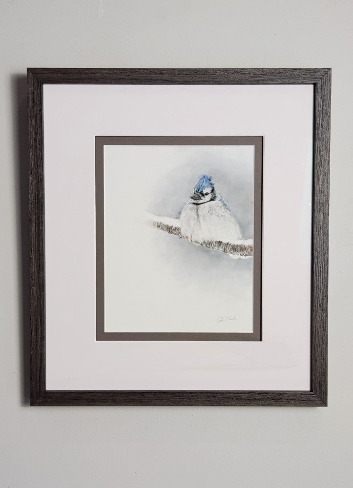 Framed pastel of a bluejay on a branch in a snowy landscape