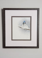 Framed pastel of a bluejay on a branch in a snowy landscape