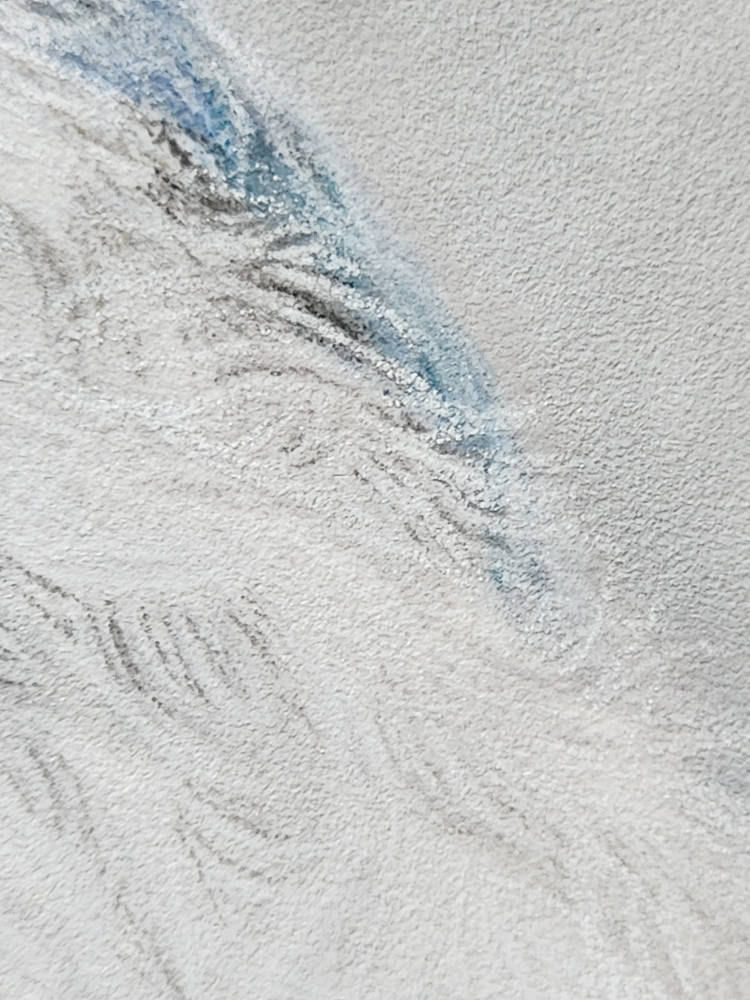 Close-up of the texture of a blue jay drawing 