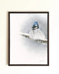 A framed pastel drawing of a blue jay perched on a snowy branch, set against a soft white and blue winter background. The artwork is presented in a dark brown wooden frame and hangs on a light beige wall.