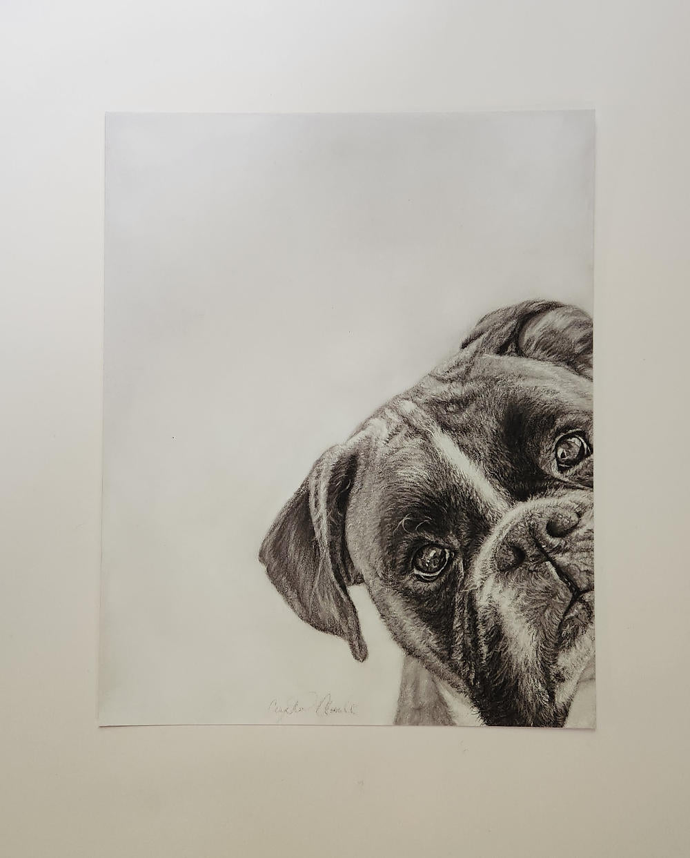 Boxer Dog Fine Art Giclee Print "Want to Play?" image 2