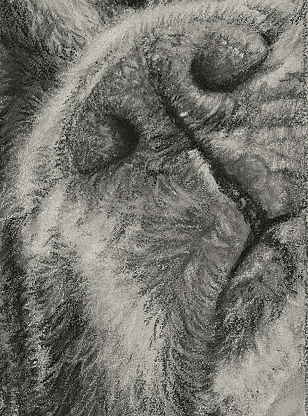 Boxer Dog Fine Art Giclee Print "Want to Play?" image 1