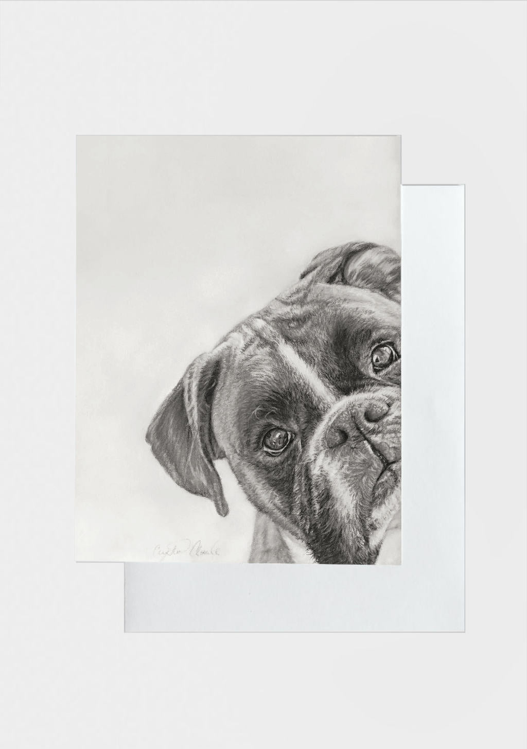 Artistic drawing of a boxer dog's face on a greeting card