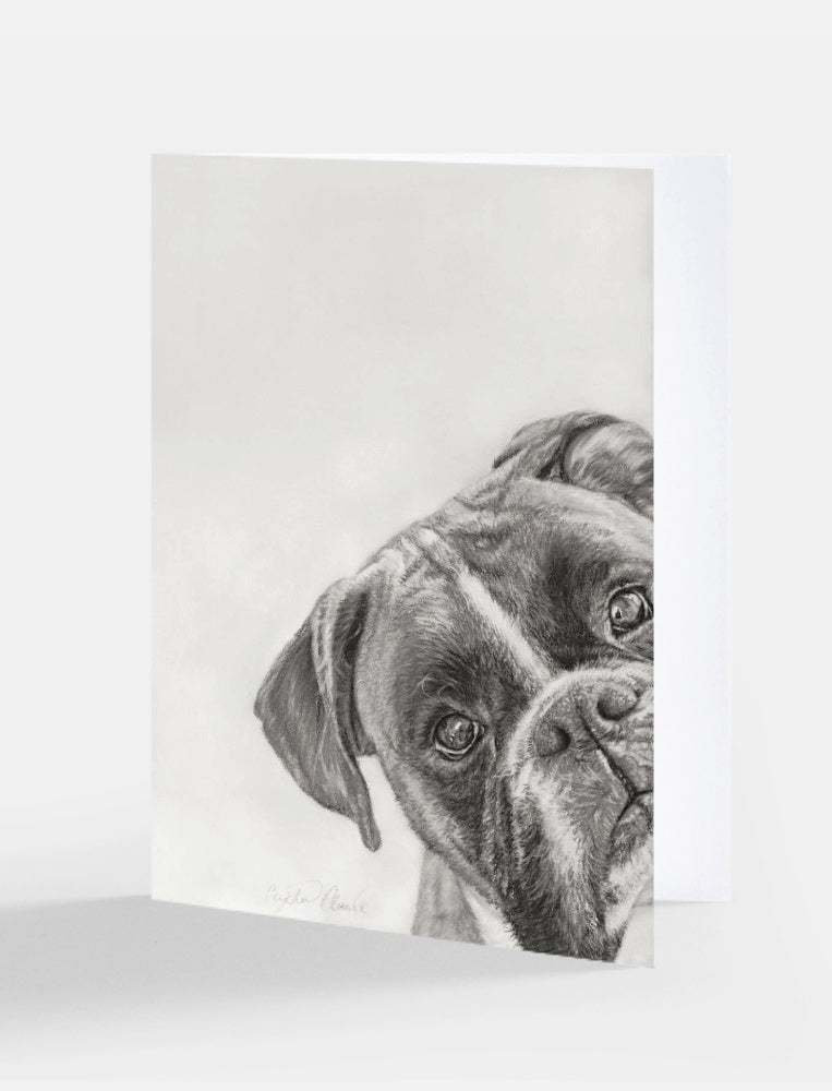 Greeting card with a black and white drawing of a boxer dog's face with a light gray background