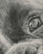 Close-up of a textured surface of pastel drawing of boxer dog 