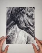 'Connection Beyond Words' Horse Fine Art Print image 2