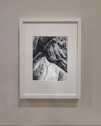 'Connection Beyond Words' Horse Fine Art Print image 1