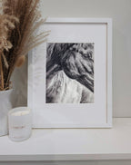 'Connection Beyond Words' Horse Fine Art Print image 0