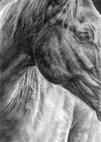 "Connection Beyond Words" 5x7" Pastel Original of horse