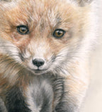 'Curiosity' Fox kit Fine Art Print image 3