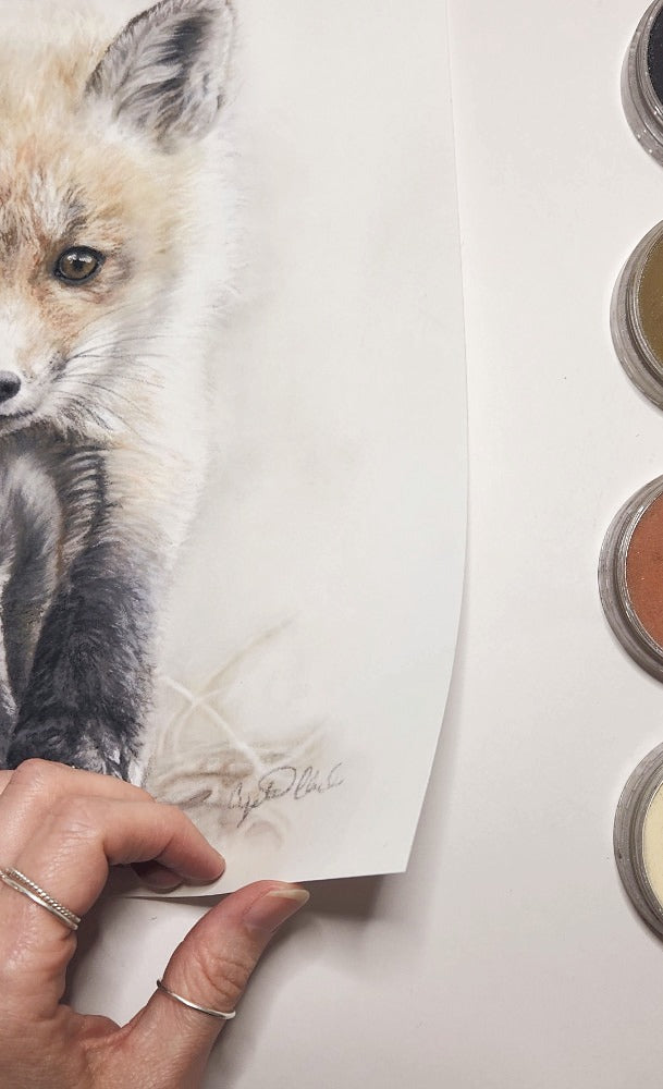 'Curiosity' Fox kit Fine Art Print image 2