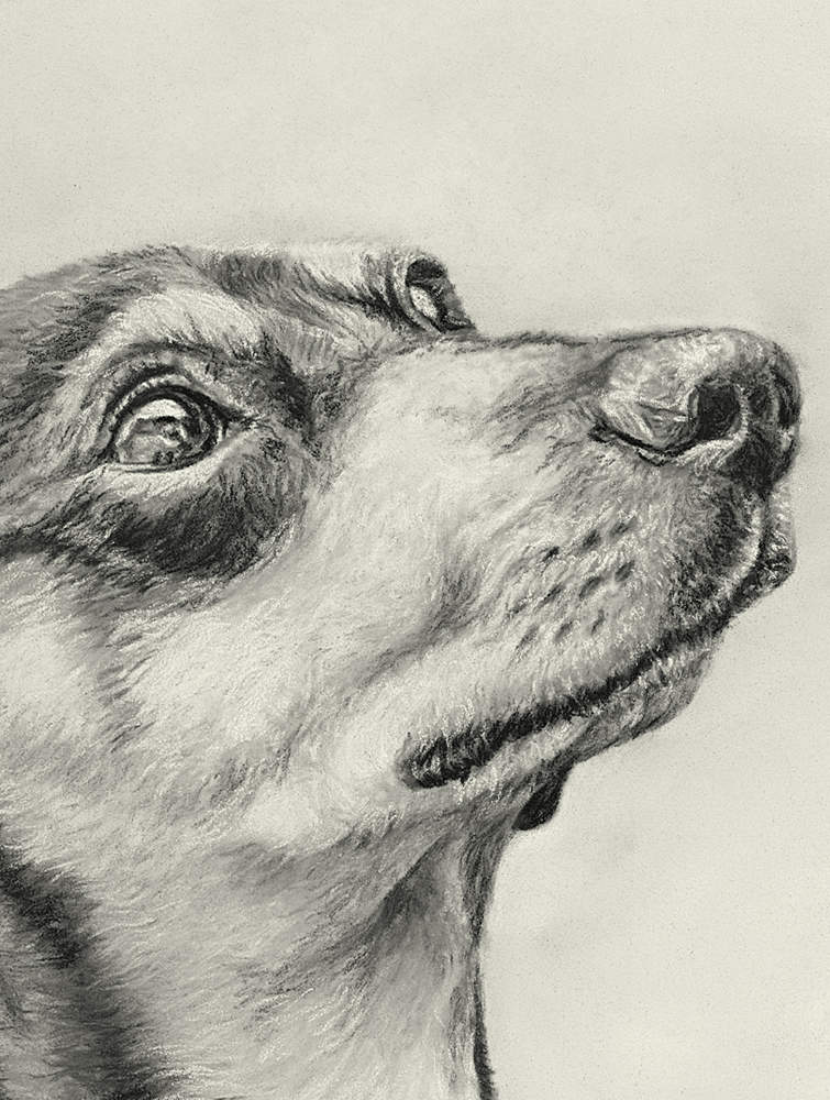 Dachshund Fine Art Giclee Print 'Moments Together' image 2