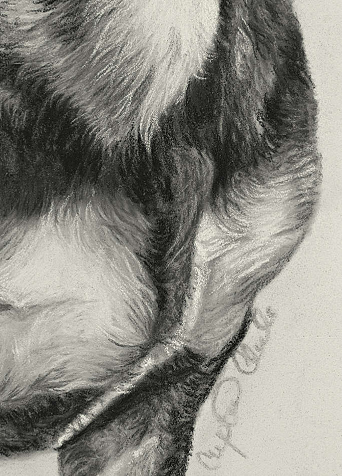 Dachshund Fine Art Giclee Print 'Moments Together' image 4