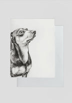 Drawing of a dachshund on a white background