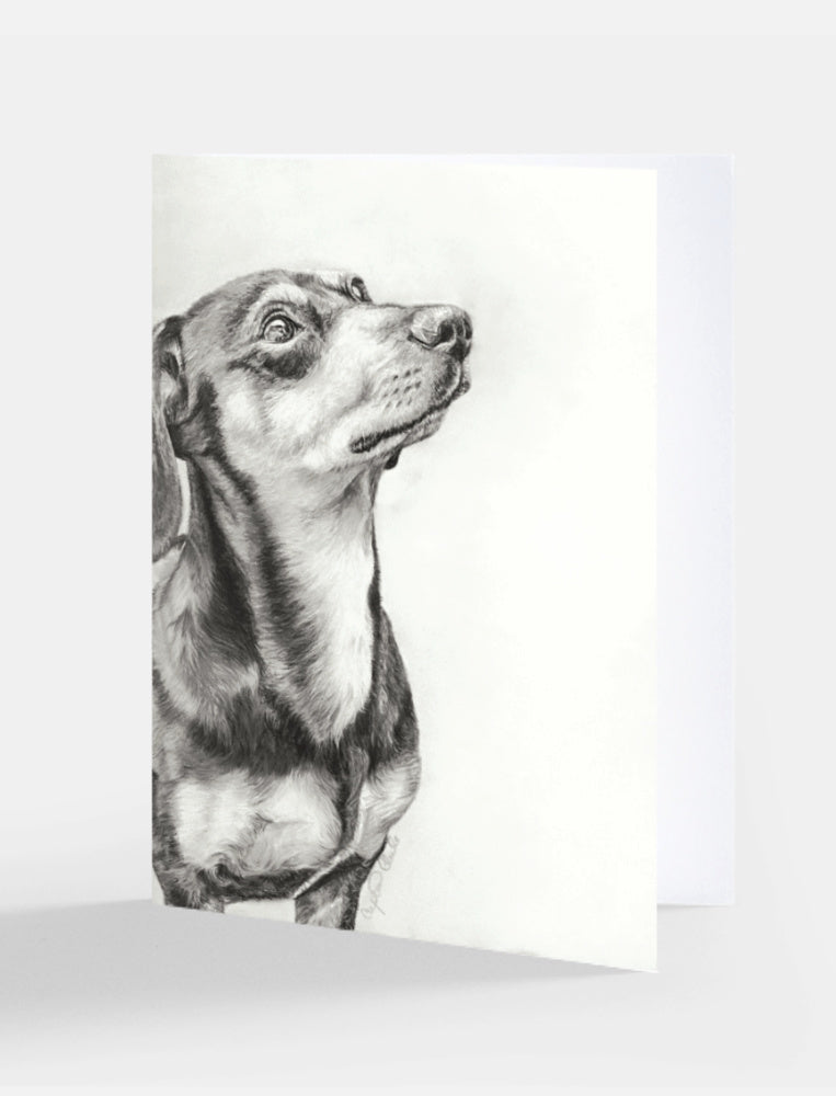 Black and white drawing of a dog on a white background
