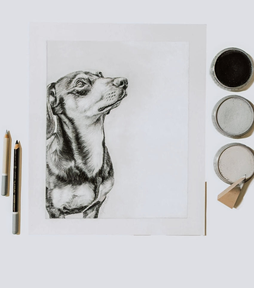 Pastel drawing of a dog on a white background with art supplies.