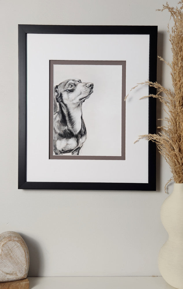 Framed black-and-white dog portrait on a white wall with decorative elements.