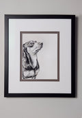 Framed black and white portrait of a dog on a plain wall